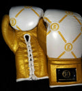 Cayman Boxing Gloves