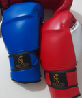 NXT LEVEL BOXING GLOVES