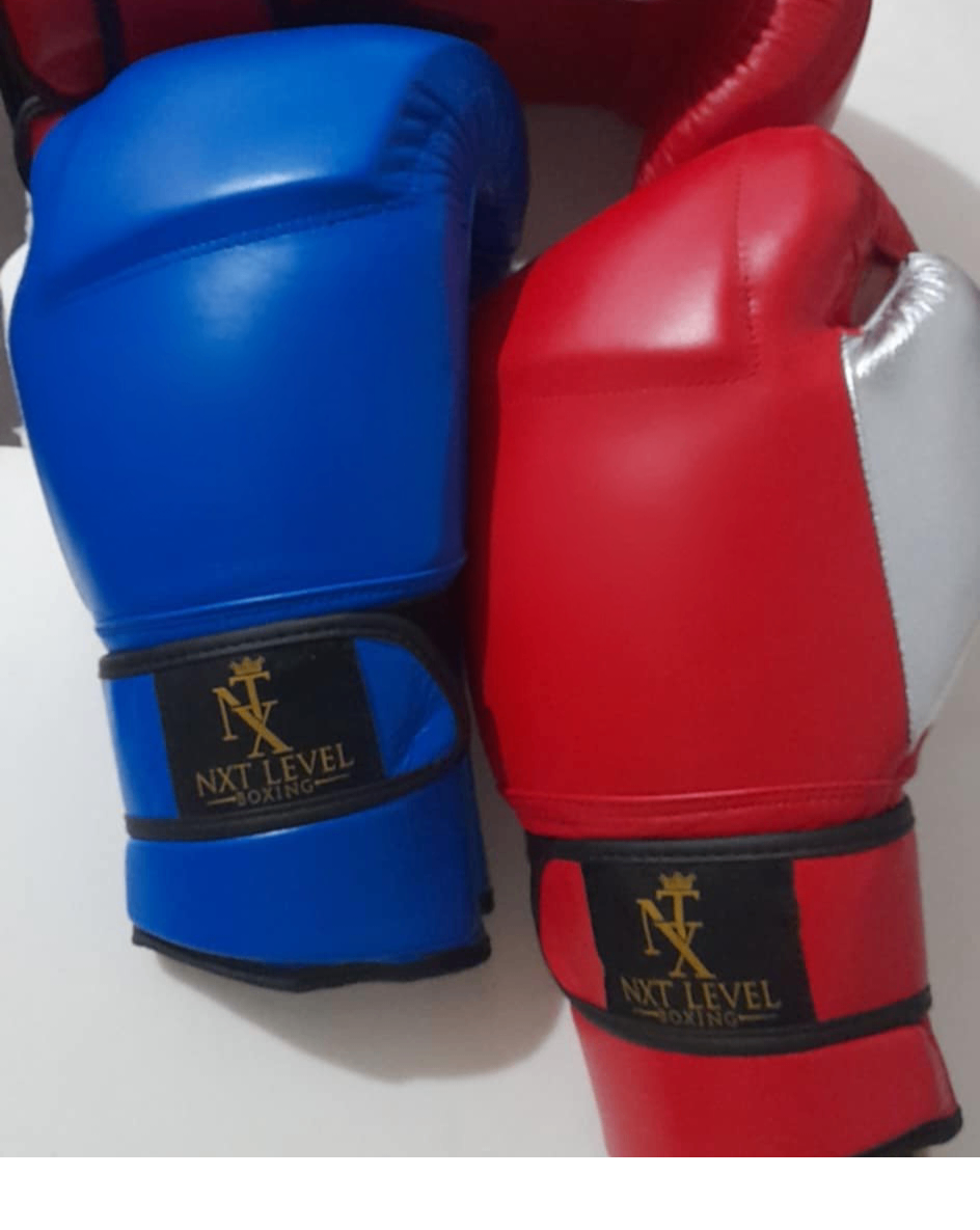 NXT LEVEL BOXING GLOVES